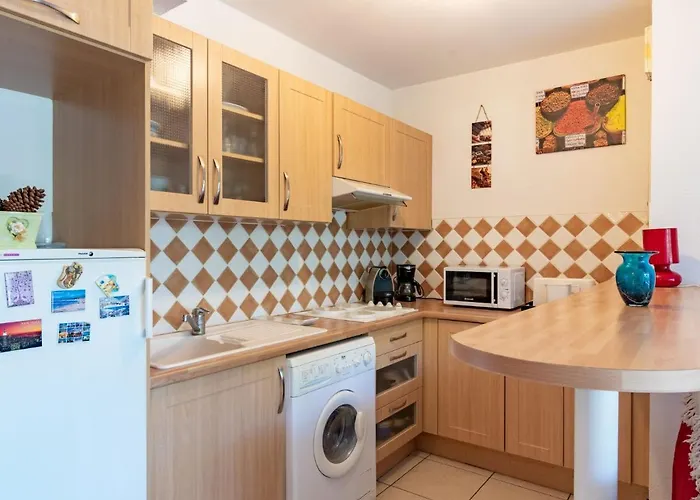 Oceane By Interhome Daire Arcachon